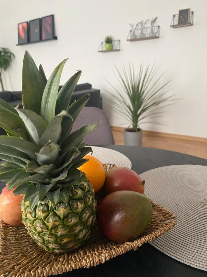 Penthouse West S Lägenhet Varaždin Exteriör bild
